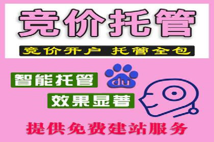 电商巨头的SEM运营托管策略揭秘